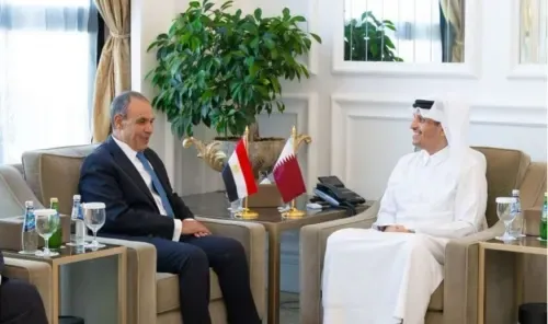 رئيس وزراء قطر ووزير الخارجية المصري يبحثان جهود الاستقرار الإقليمي