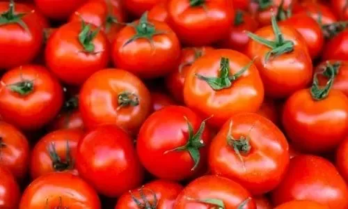 انخفاض أسعار الطماطم في البحرين مع وصول المزيد من الإمدادات