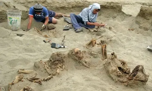 العثور على أدلة لأكبر عملية تضحية بالأطفال في العالم في بيرو