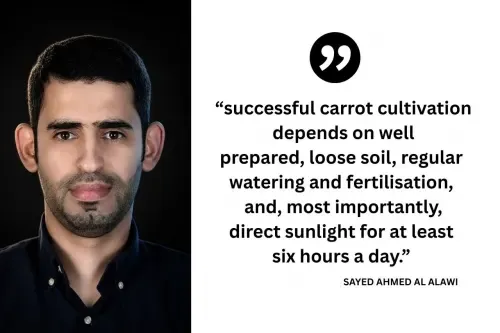 Bahrain Grower Revives Lost Vegetables