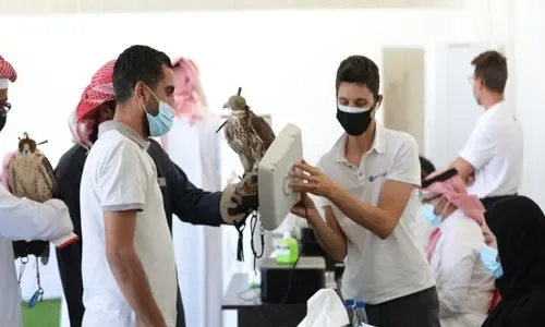 انطلاق موسم ناصر بن حمد للصقور والصيد اليوم
