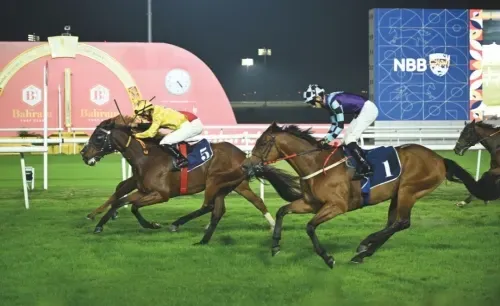 نادي راشد للفروسية وسباق الخيل يكرم الإعلاميين ويحتفي بالعيد الوطني في سباق خاص