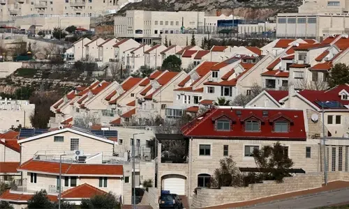 يمكن للفلسطينيين استخدام خطة ترامب للسلام كنقطة انطلاق
