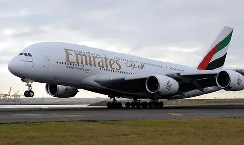 Bird hit causes delay for Delhi-Dubai Emirates flight