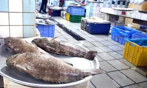 اتهام آسيوي ببيع أسماك غير مطابقة للمواصفات في البحرين