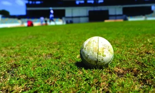 Climax Zalmi excel in league