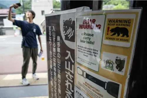 Tokyo Suburb to Equip Schools With Bear Spray