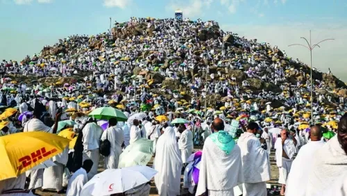 Pilgrims scale Mount Arafat for climax of biggest Covid-era Haj