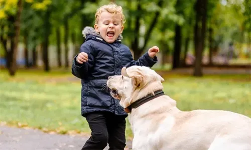 Dog attacks child at park in Hidd, owner flees scene