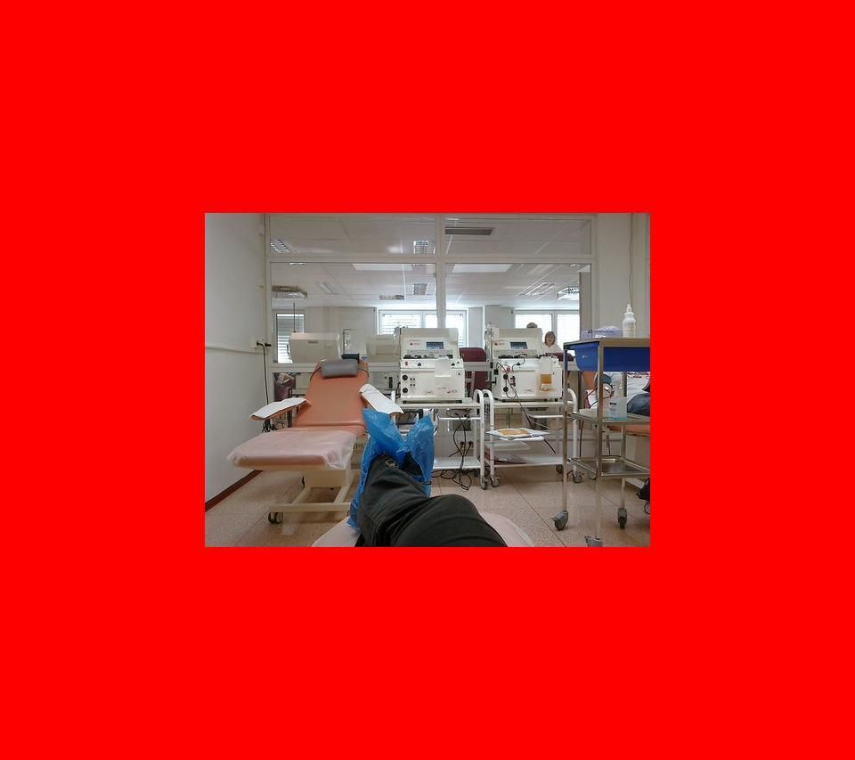 The National Blood Bank Records Its Highest Donor Turnout