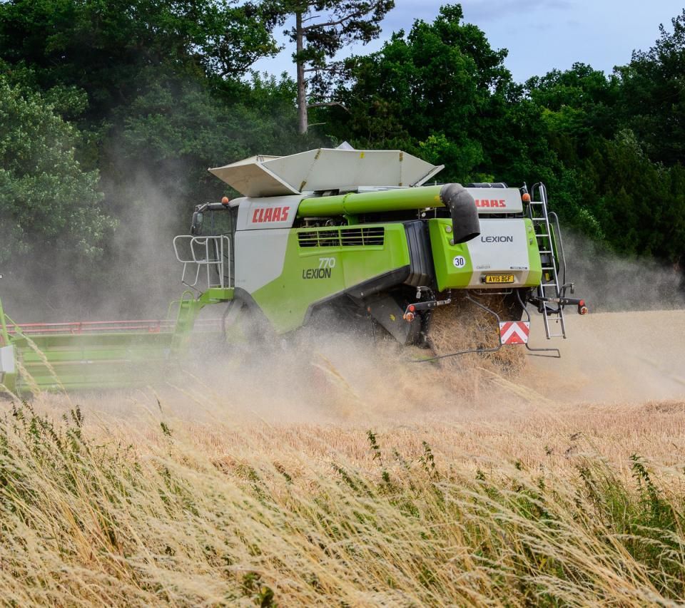 Global Food Prices Ease for a Fourth Month Running